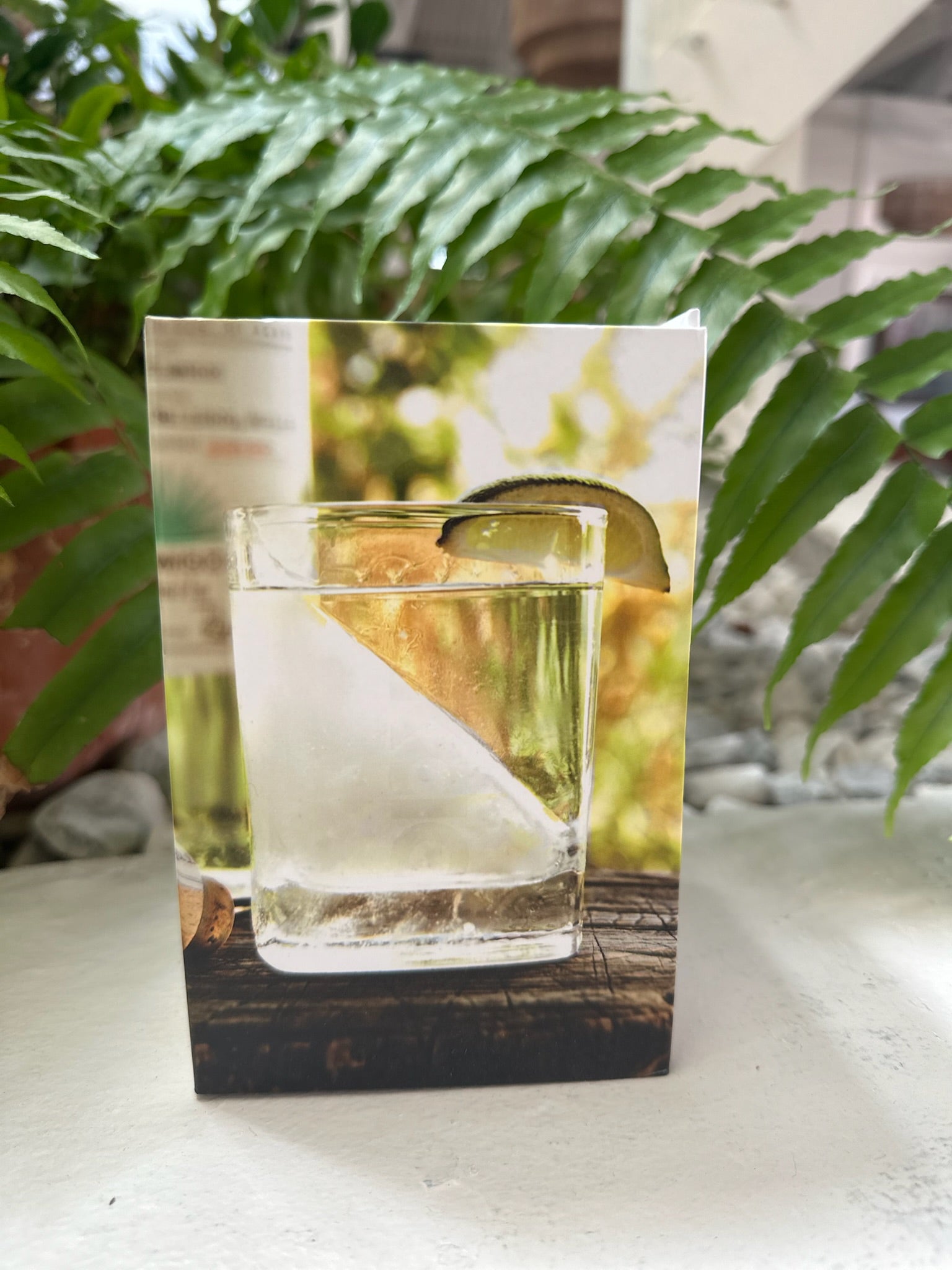 Corkcicle Tequila Triangle