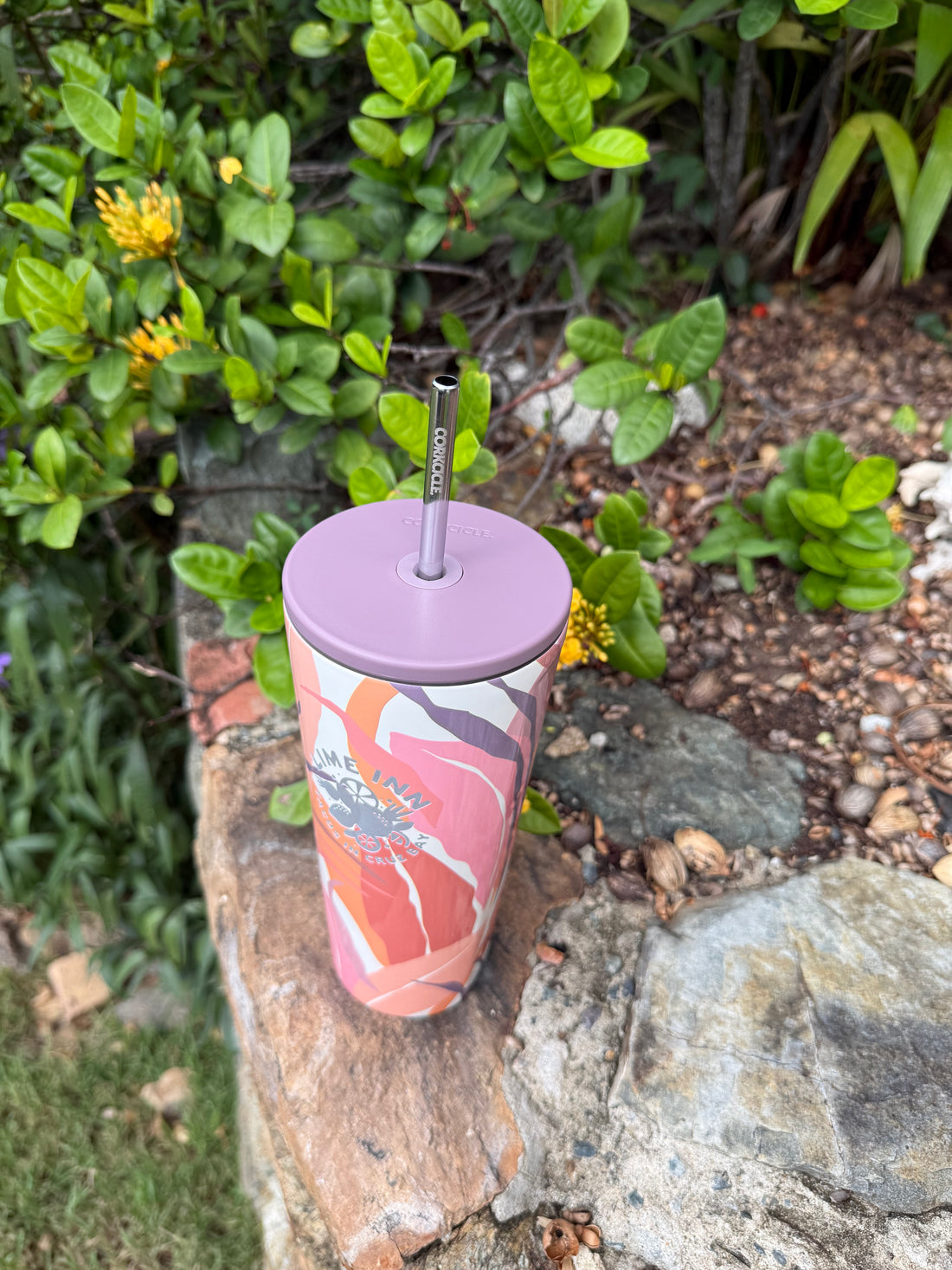 Lime Inn Cold Cup